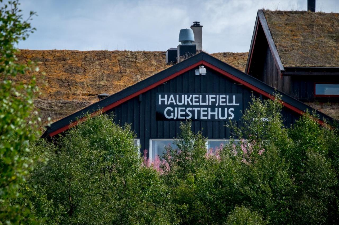 Hotel Haukelifjell Gjestehus Vågsli Exteriér fotografie